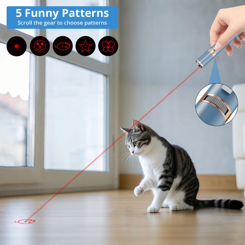 Lzonunl red-light projection captures cat attention during active play.
