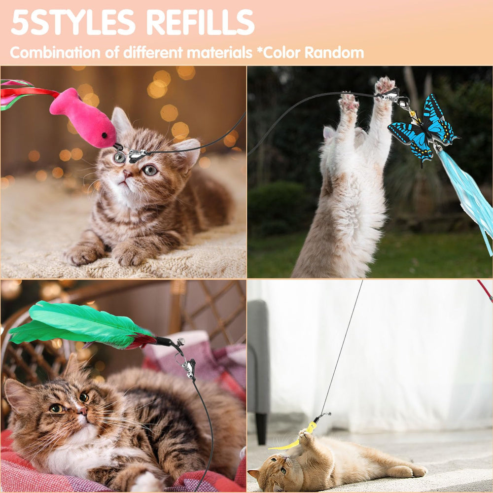 M JJYPET cats playing action shot showcasing exercise and bonding time.