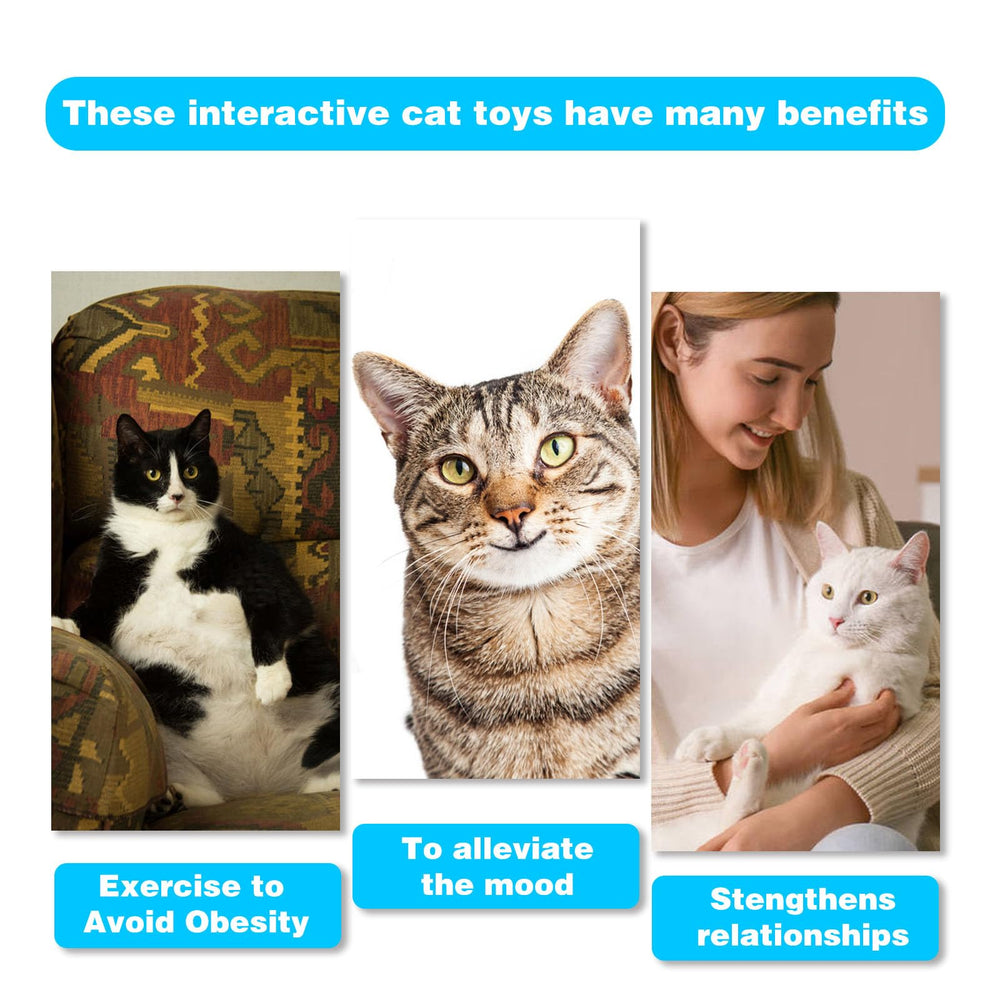 M JJYPET retractable wand mechanism demonstrates extendable teasing reach.