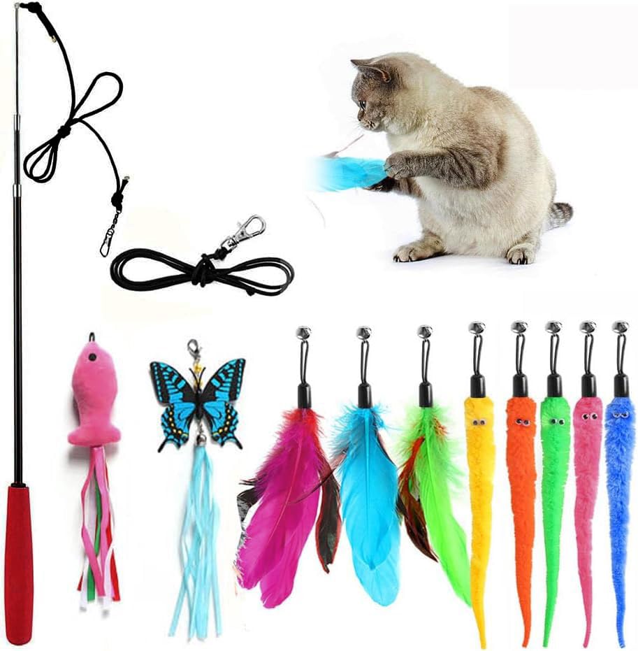 M JJYPET packaging and contents arranged for easy setup and quick play.