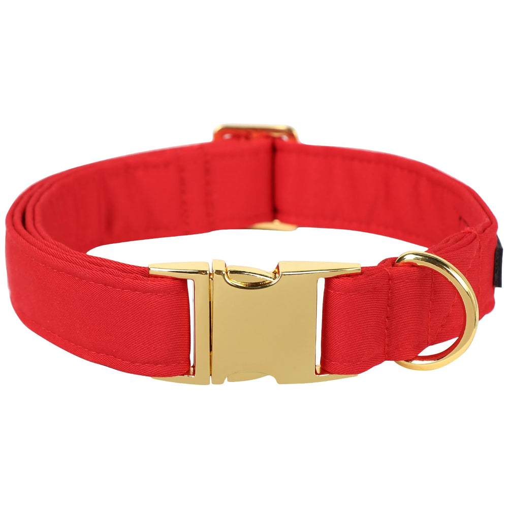 M MACA BATES Christmas Red Basic Dog Collar on a dog front view for daily walks.