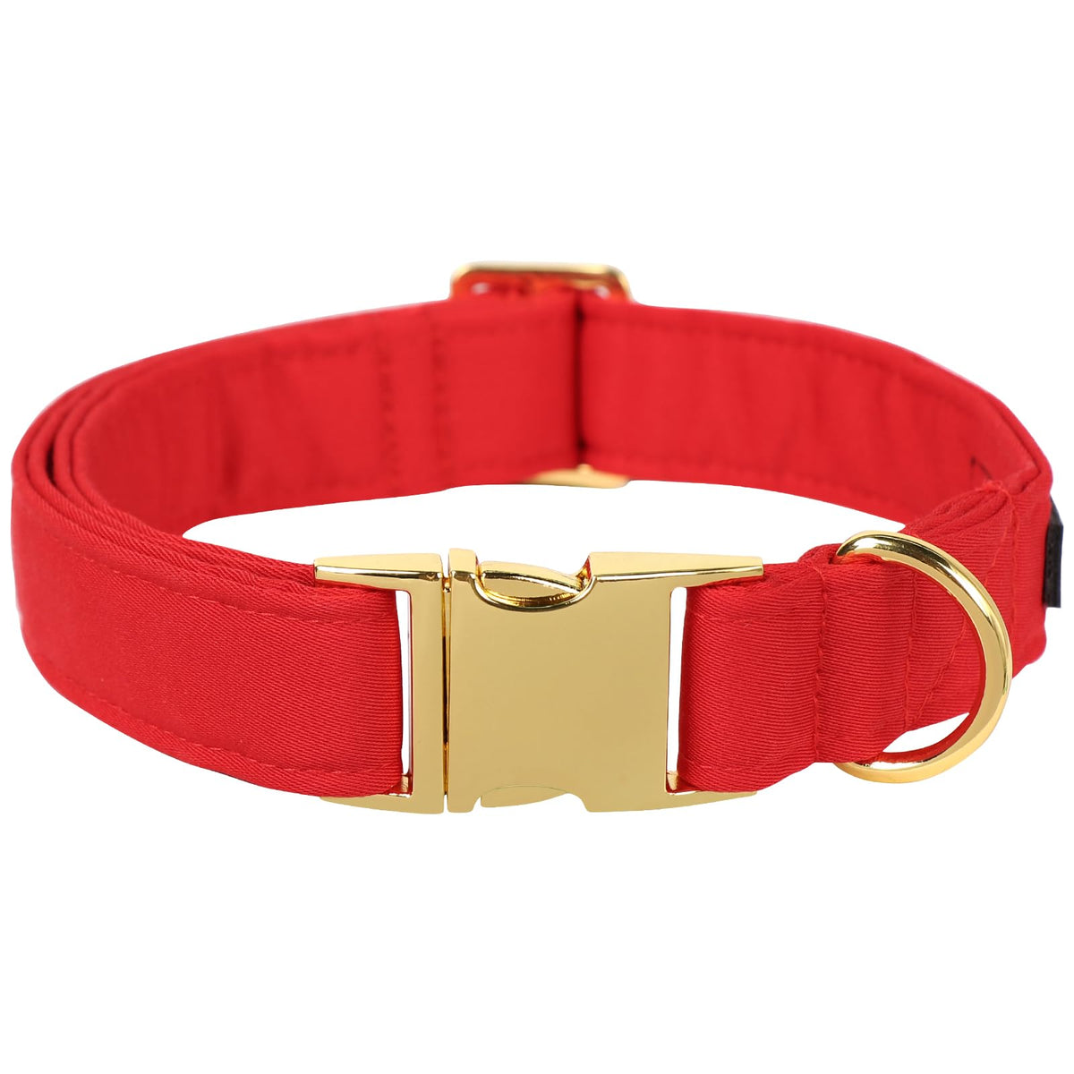 M MACA BATES Christmas Red Basic Dog Collar on a dog front view for daily walks.