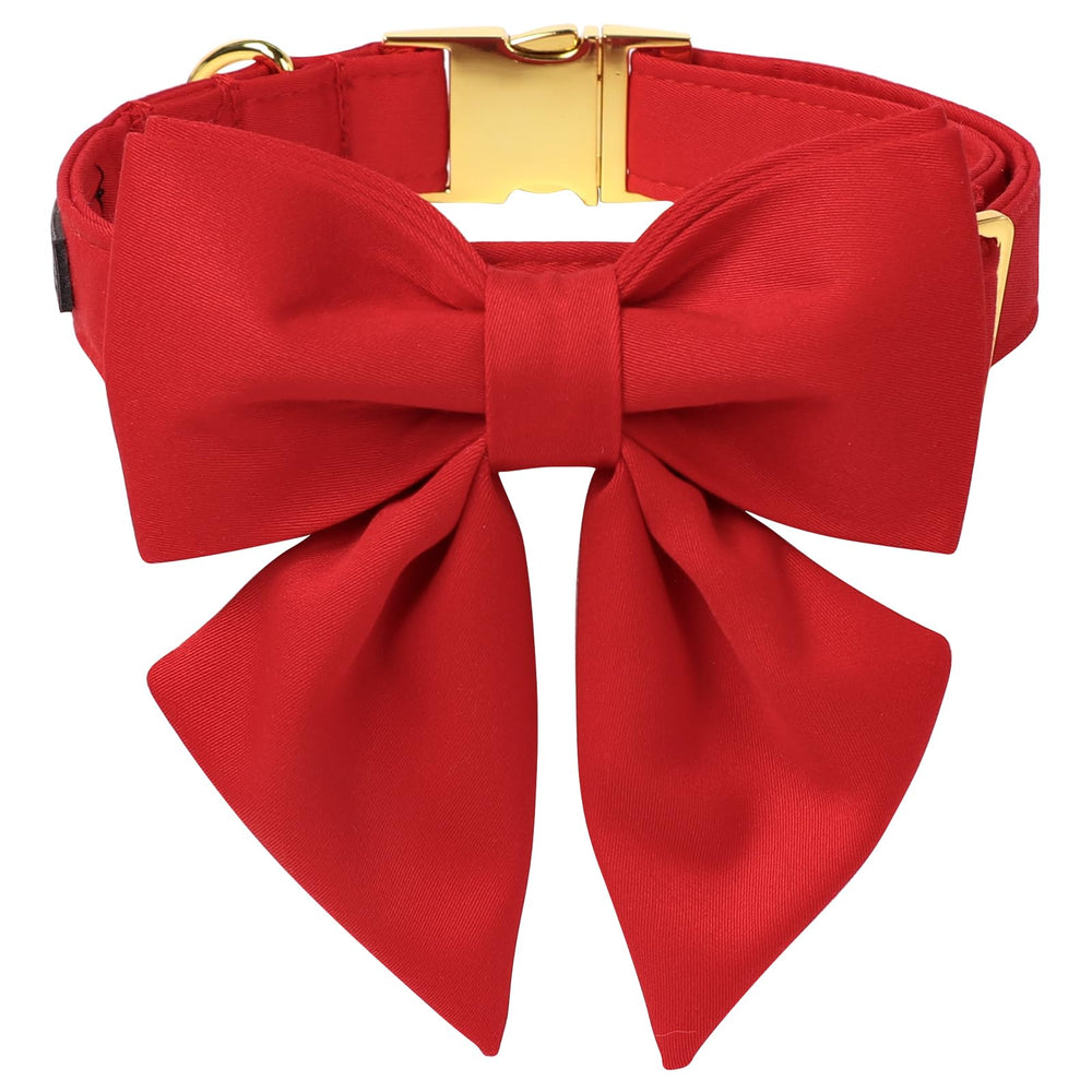 Collar rojo de M MACA BATES con lazo para paseos diarios y fotos.