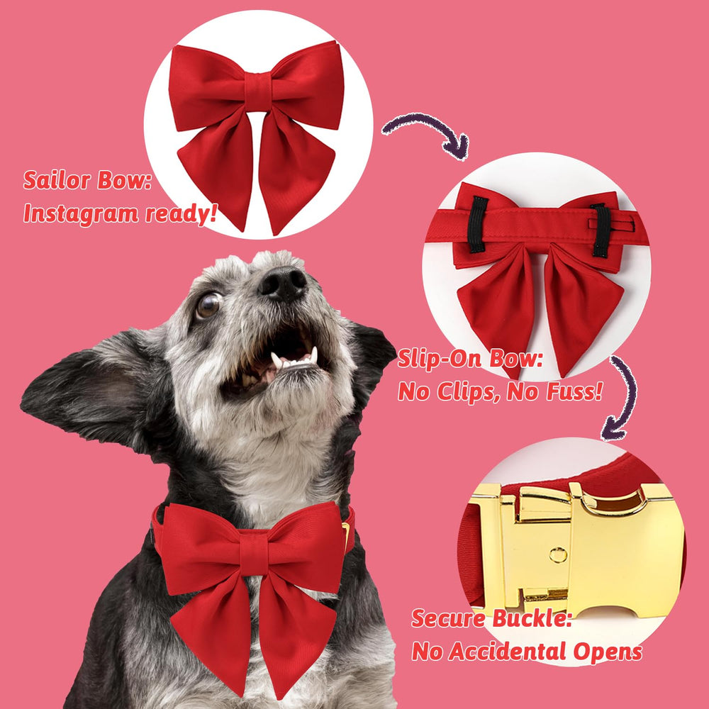 Lazo elástico del collar añade estilo sin perder ajuste.