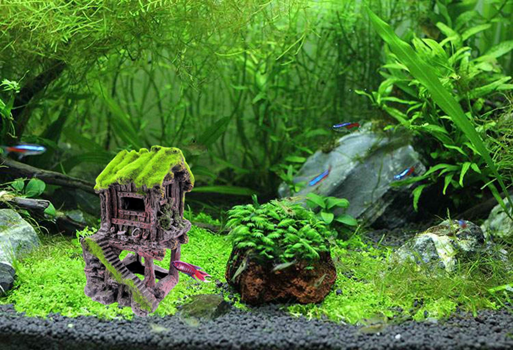M2cbridge Betta Cave in tank demonstrates aeration-friendly decor and habitat enrichment.