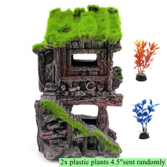 M2cbridge Betta Cave open-entry angle highlights shelter and exploration for fish.