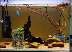 M2cbridge european-castle-aquarium-hideout provides a cave-like shelter for fish.