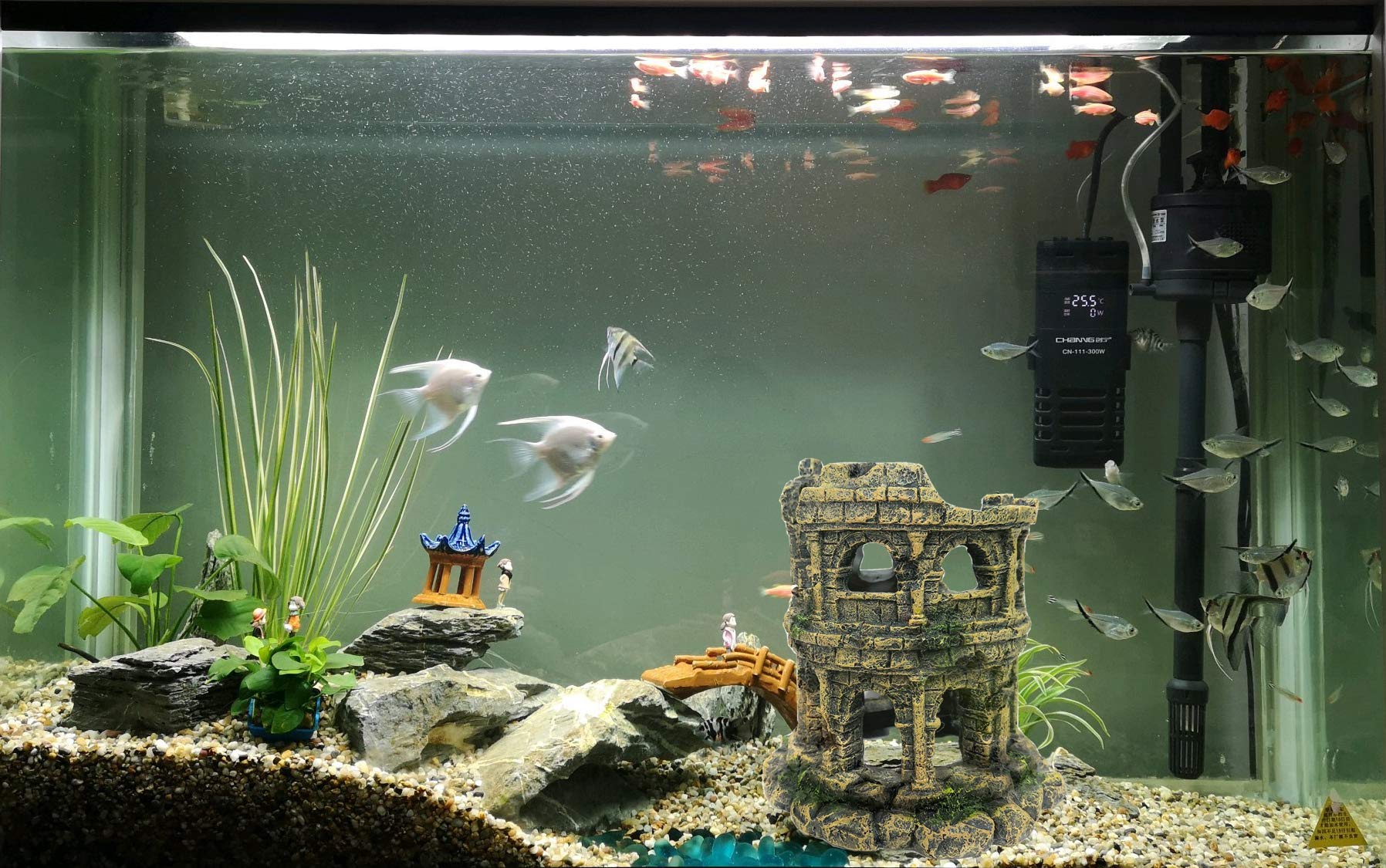 M2cbridge flat-base-ruins-structure stays stable on glass.