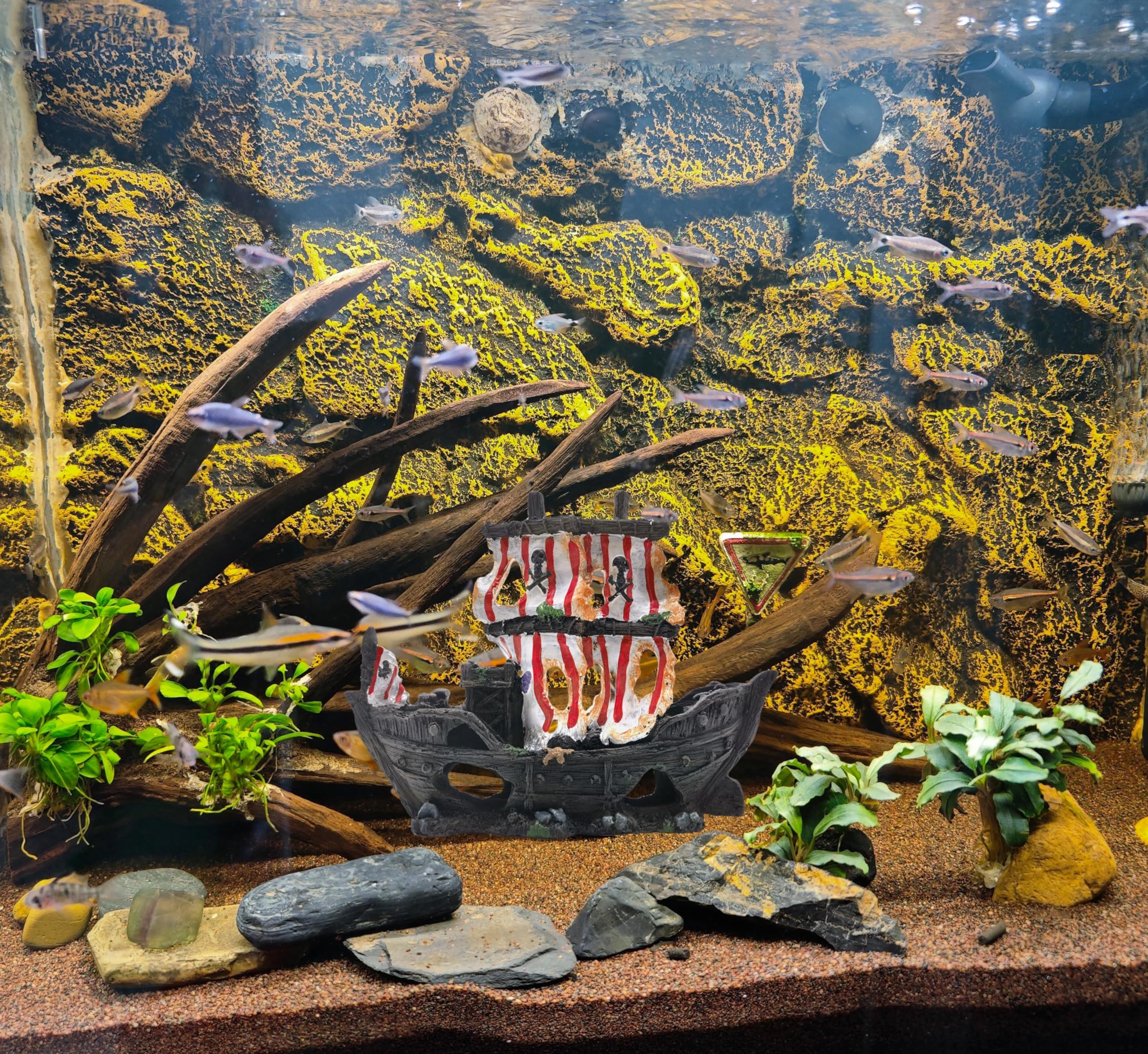 M2cbridge Striped Pirate Shipwreck features hand painted details for lifelike texture.