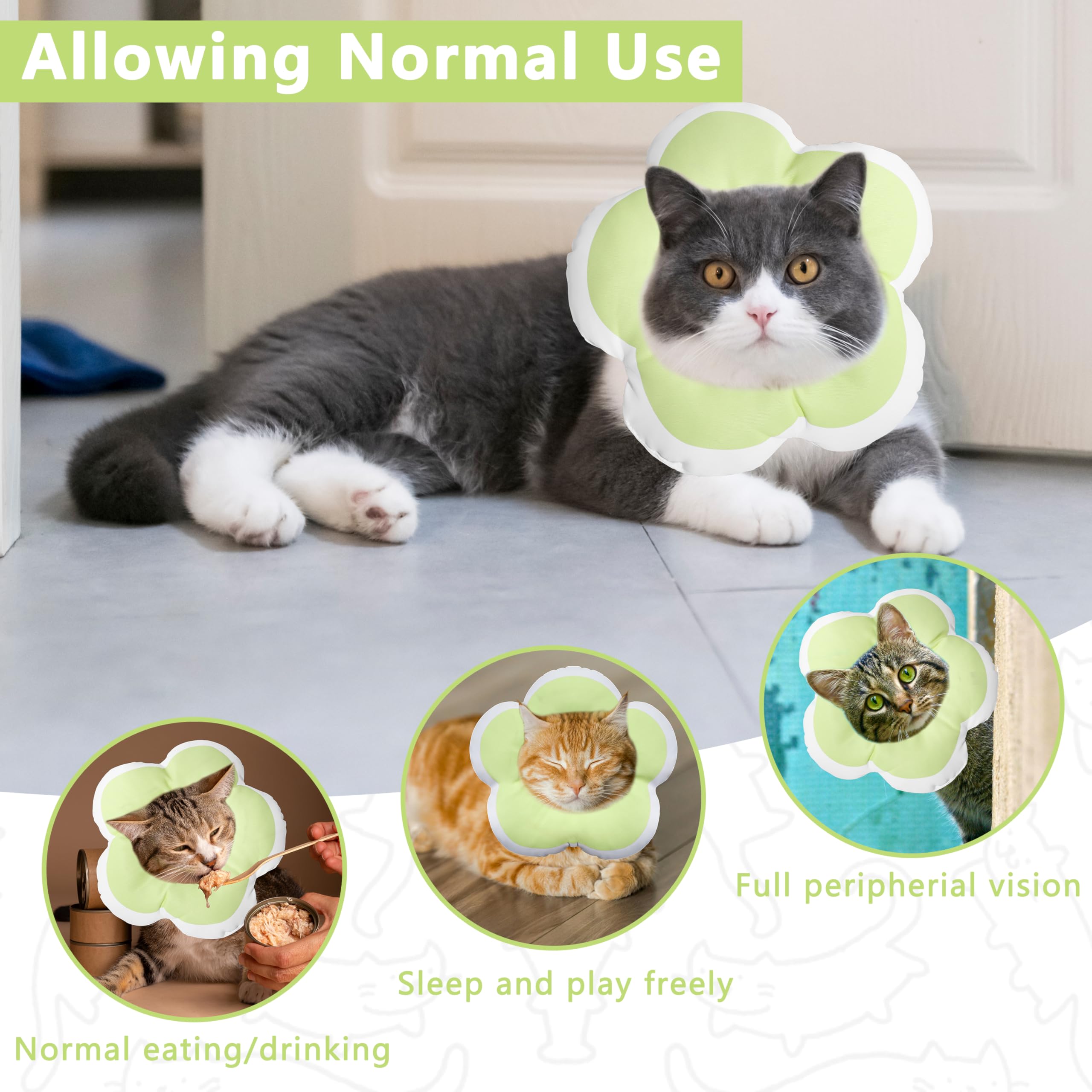 Maalgic Cat Cone Collar green-color enhances daily wear and photos during recovery.