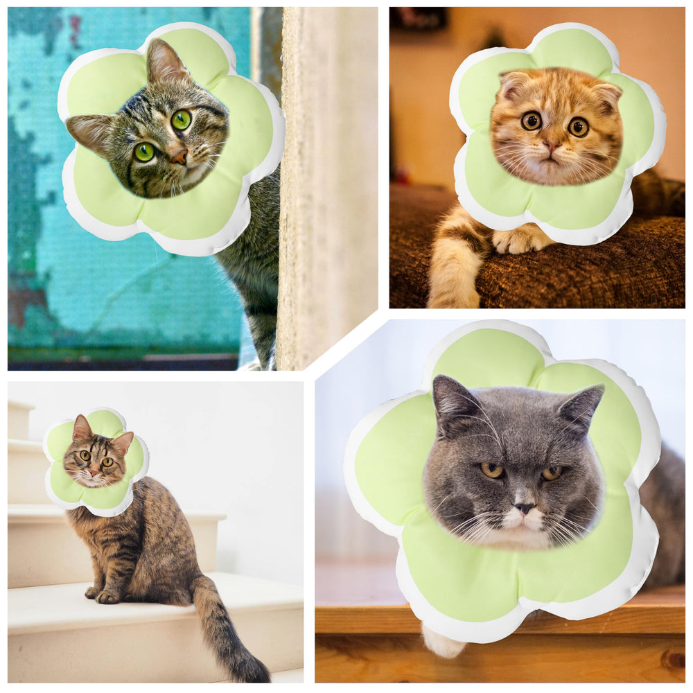 Maalgic Cat Cone Collar suitable for postoperative checks and grooming sessions.