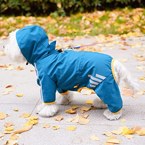 Mabawa dog raincoat blue color showcases stylish weather-ready gear for everyday walks.
