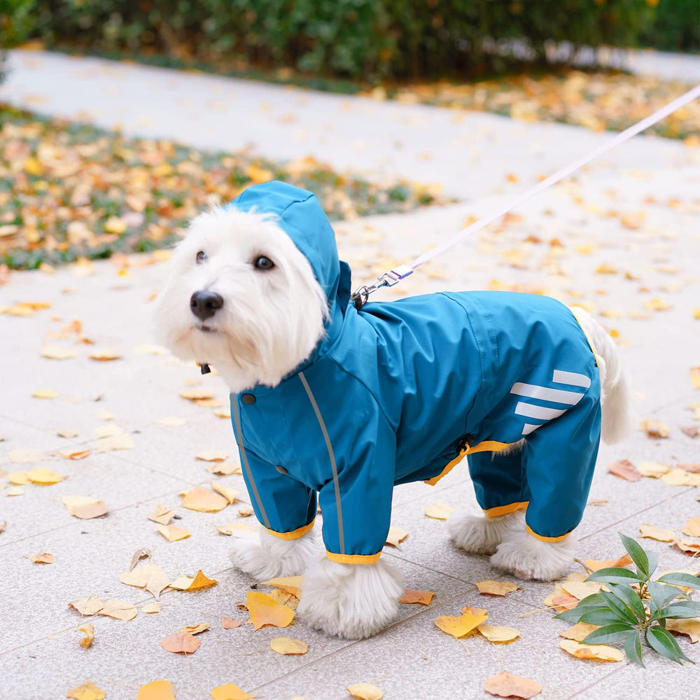 Mabawa dog raincoat hidden-traction-mouth enables easy leash access during rain.