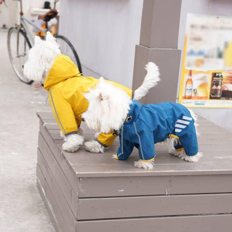 Mabawa dog raincoat legs-tail elastic keeps coat in place during runs and play.