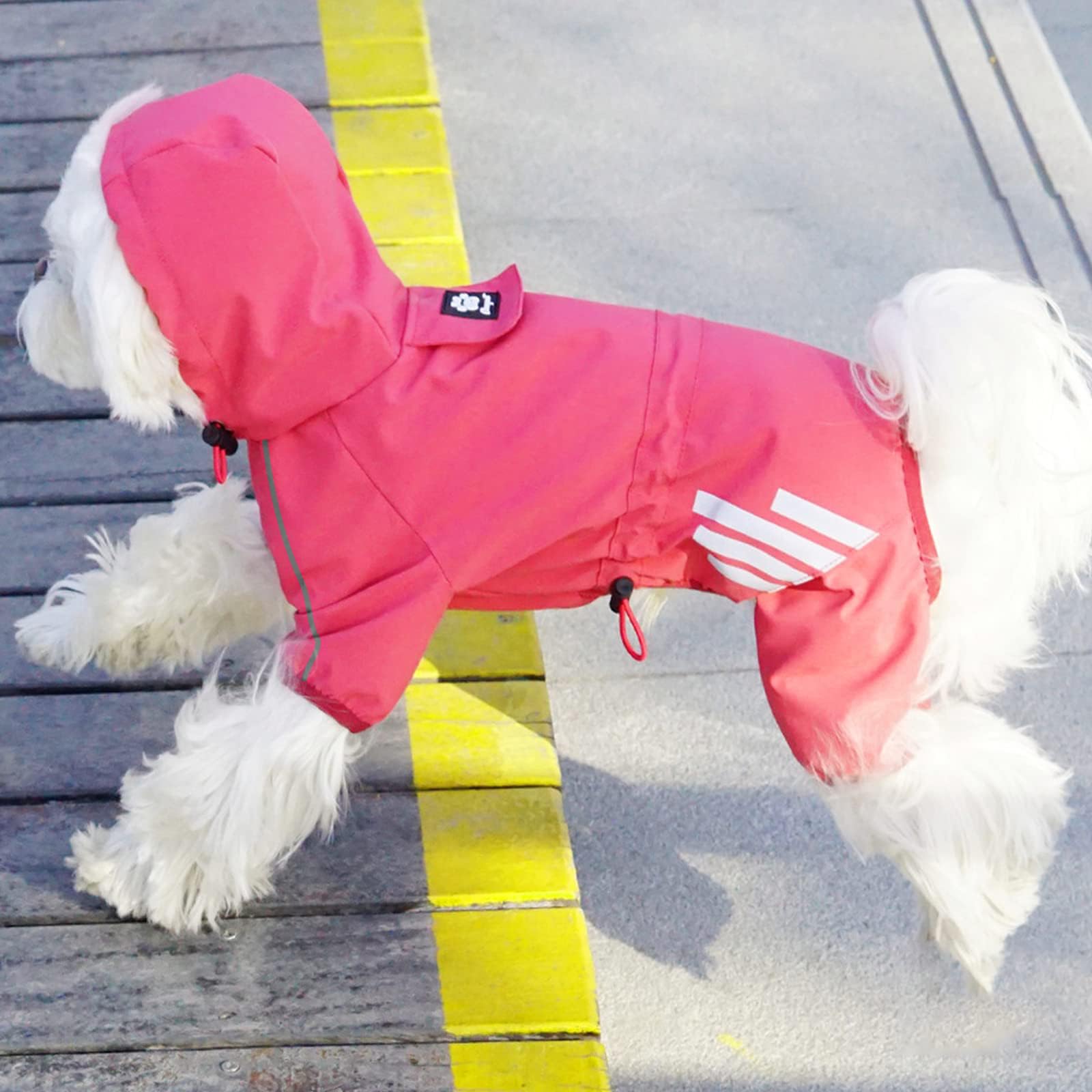 Mabawa lightweight raincoat ideal for small to medium dogs on walks