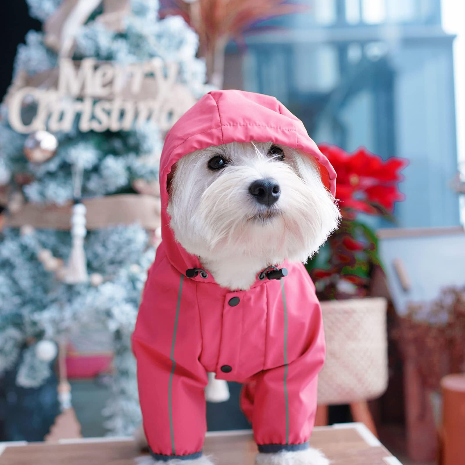 Mabawa dog raincoat material demo with TPU coating for durability