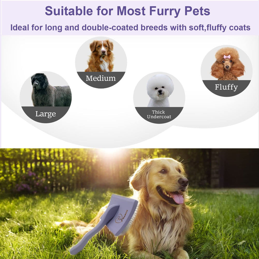 MABCM dog-brush collection after grooming helps keep floors hair-free.