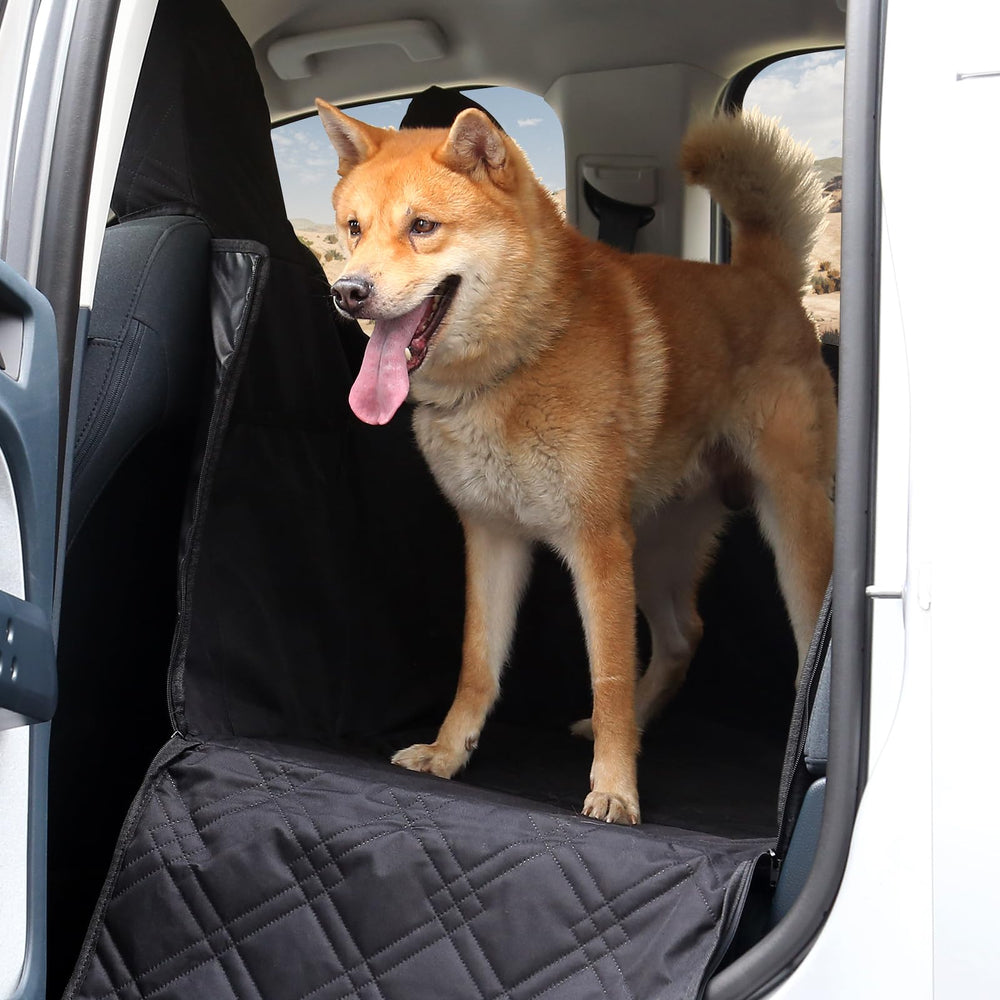 Mabett expanded activity area increases dog movement by about 40%