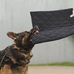 MABOZOO Indestructible Dog Bed outer view shows rugged chew-proof construction for lasting comfort.