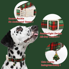 Maca Bates adjustable sizing helps fit small breeds like schnauzers and beagles