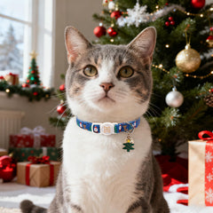 Maca Bates cat collar with bell and charm for enhanced identification