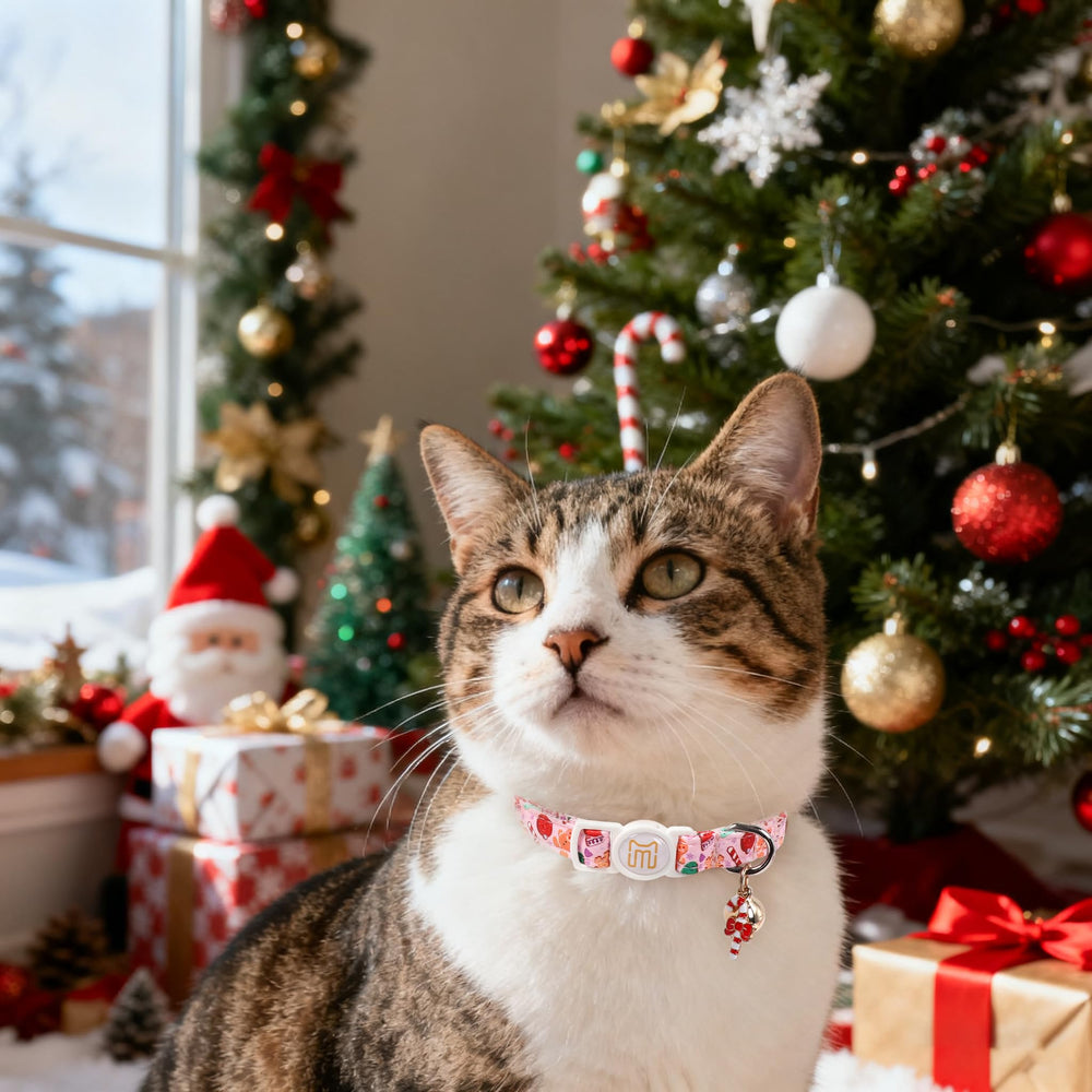 Maca Bates cat collar elk-print design adds playful style
