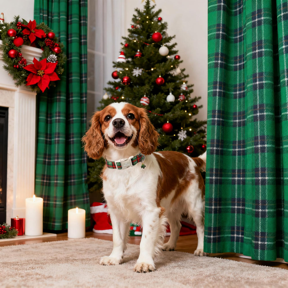 Maca Bates gingerbread-man charm adds festive holiday charm during walks