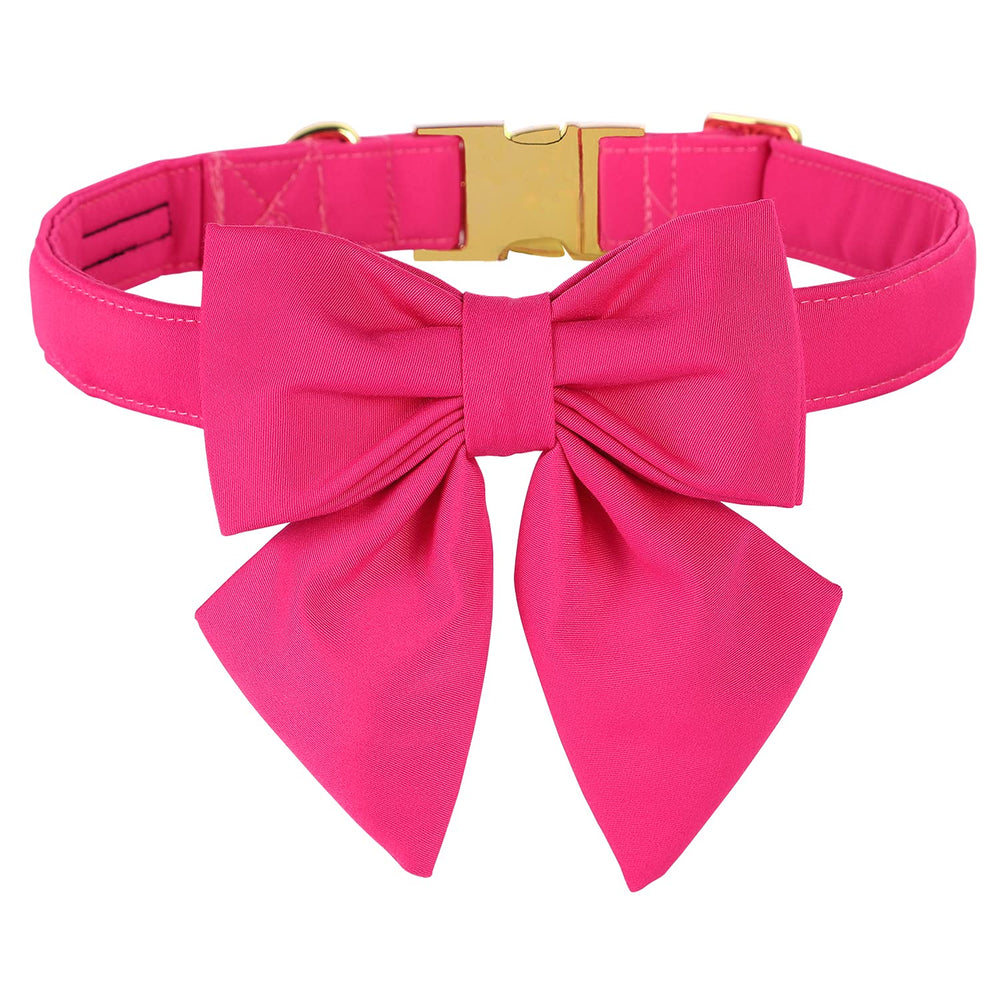 Maca Bates hot pink dog collar for daily wear with vibrant visibility