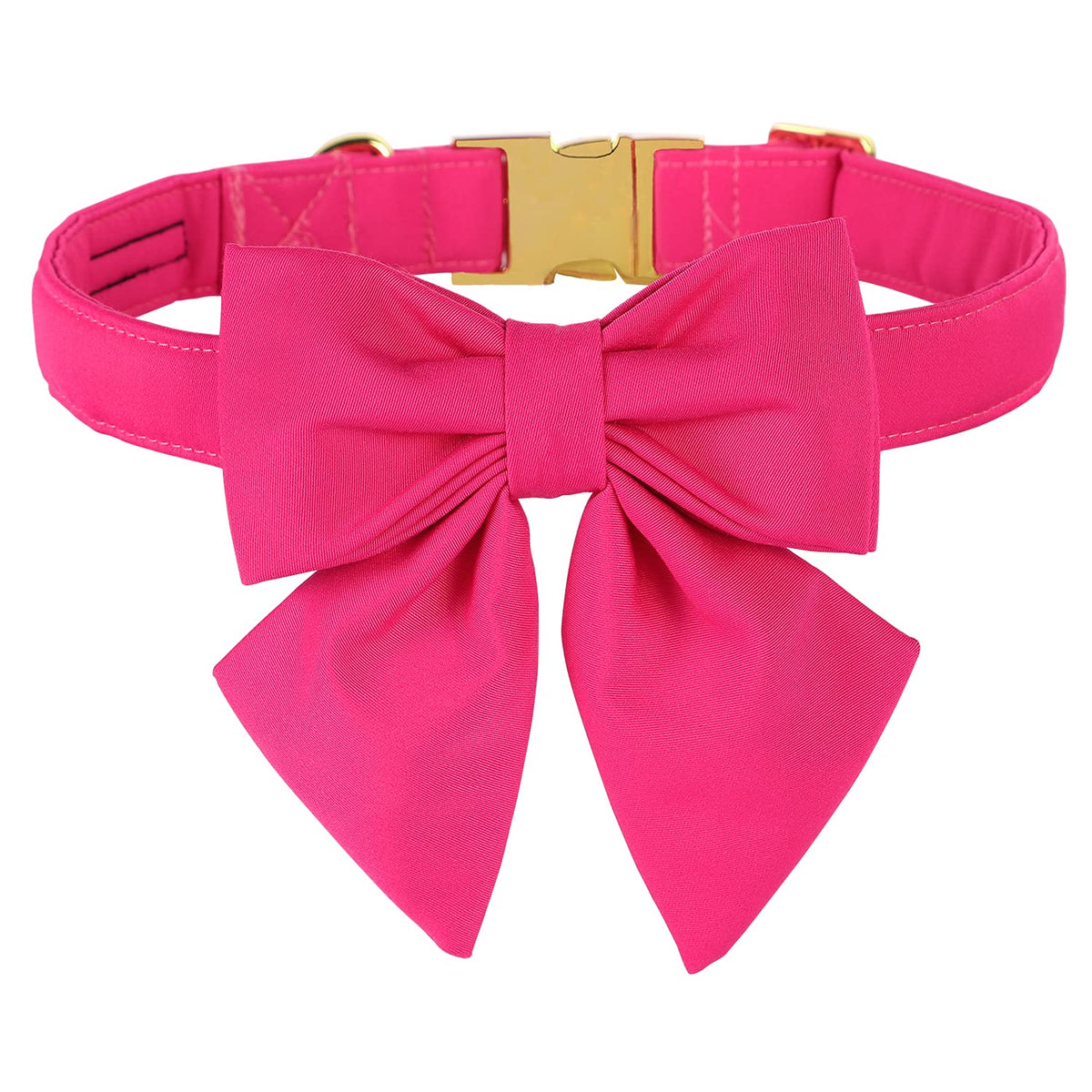 Maca Bates hot pink dog collar for daily wear with vibrant visibility