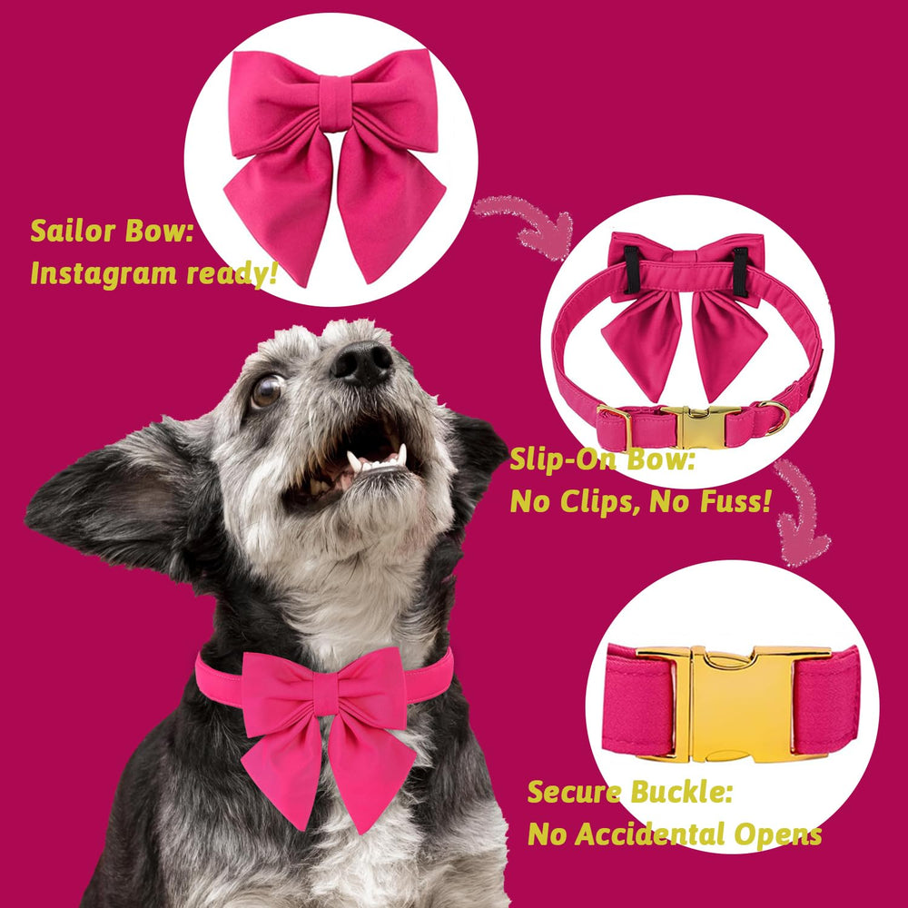 Maca Bates metal buckle closeup shows durable, secure closure for active dogs