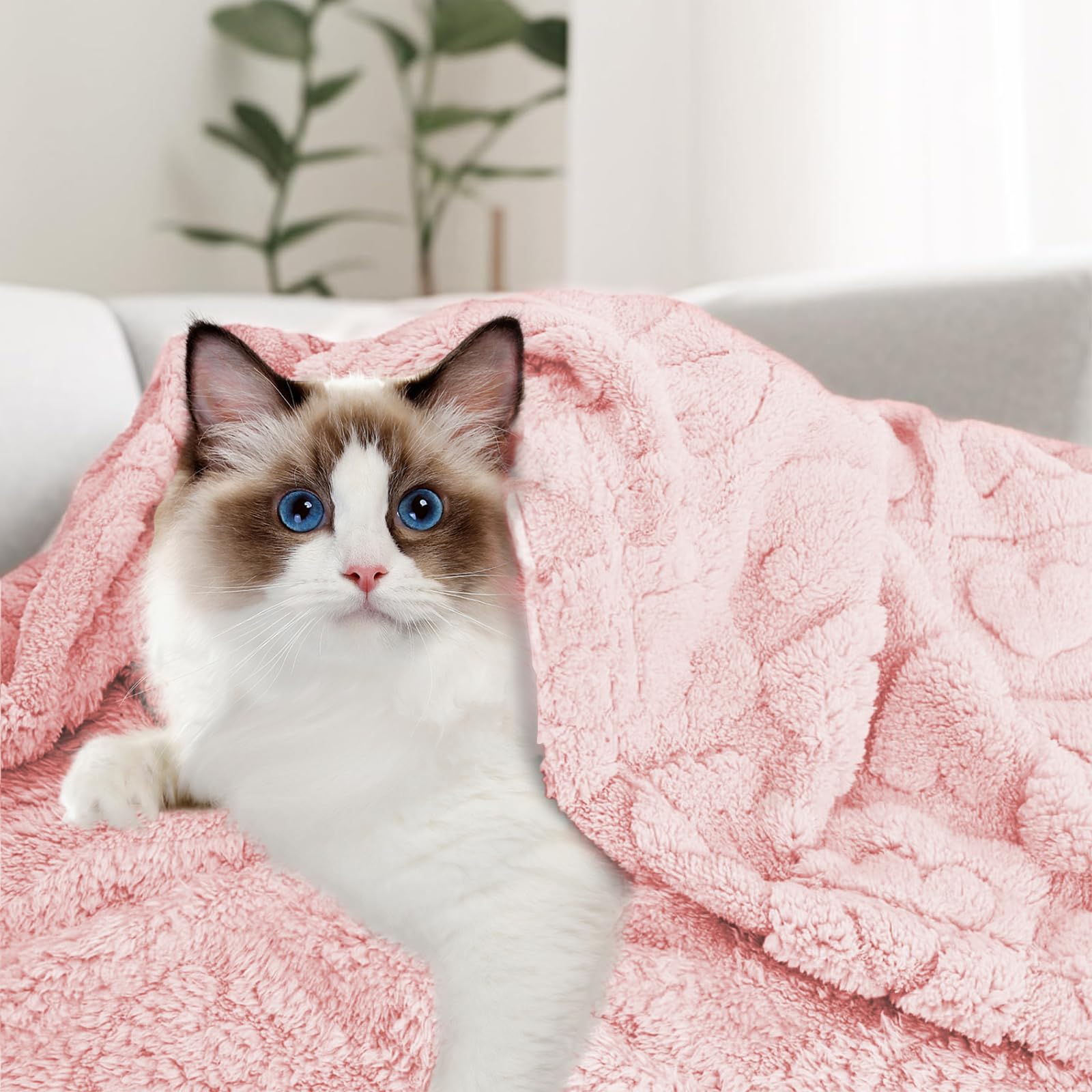 MACEVIA furniture-protector blanket shields furniture from pet hair and scratches.