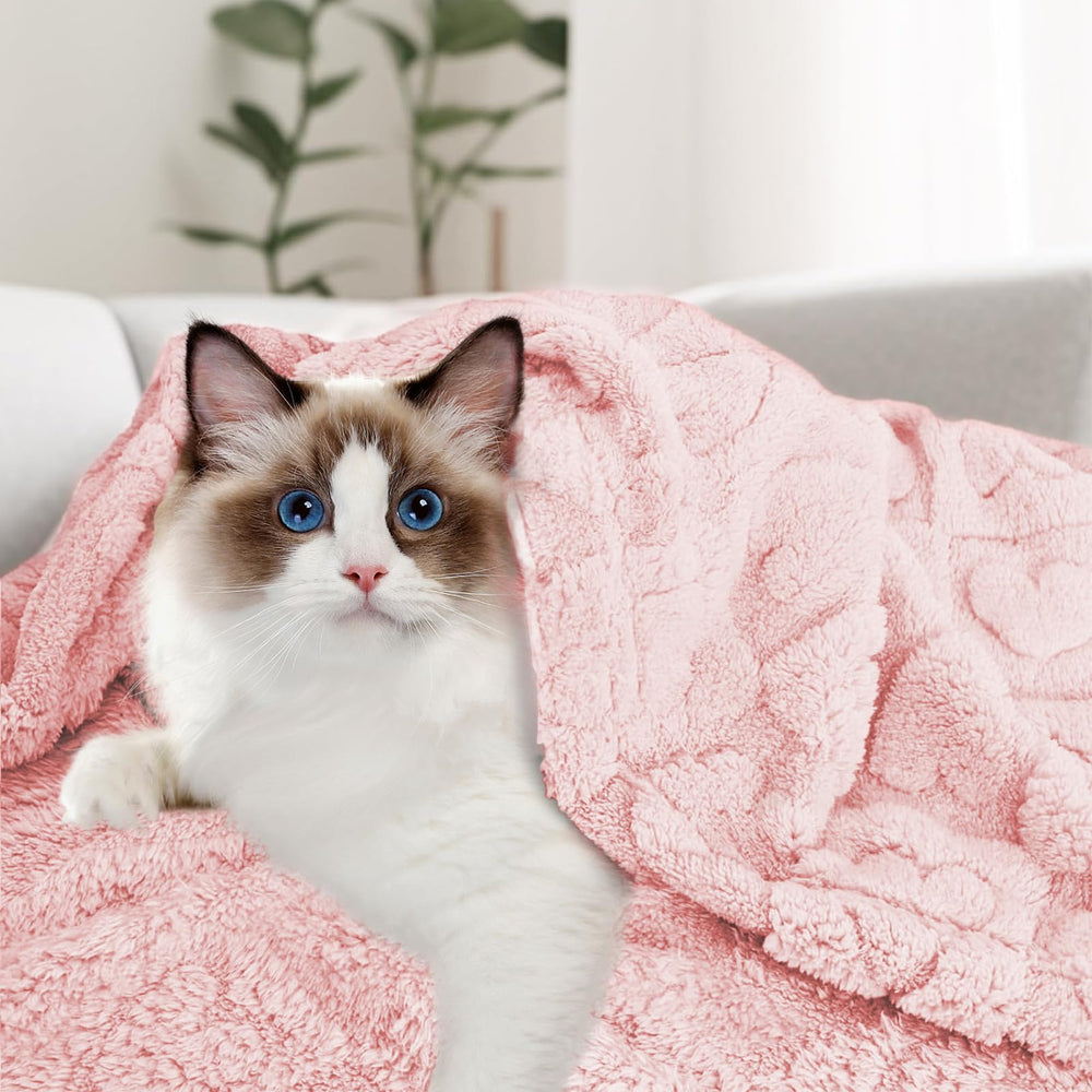 MACEVIA furniture-protector blanket shields furniture from pet hair and scratches.