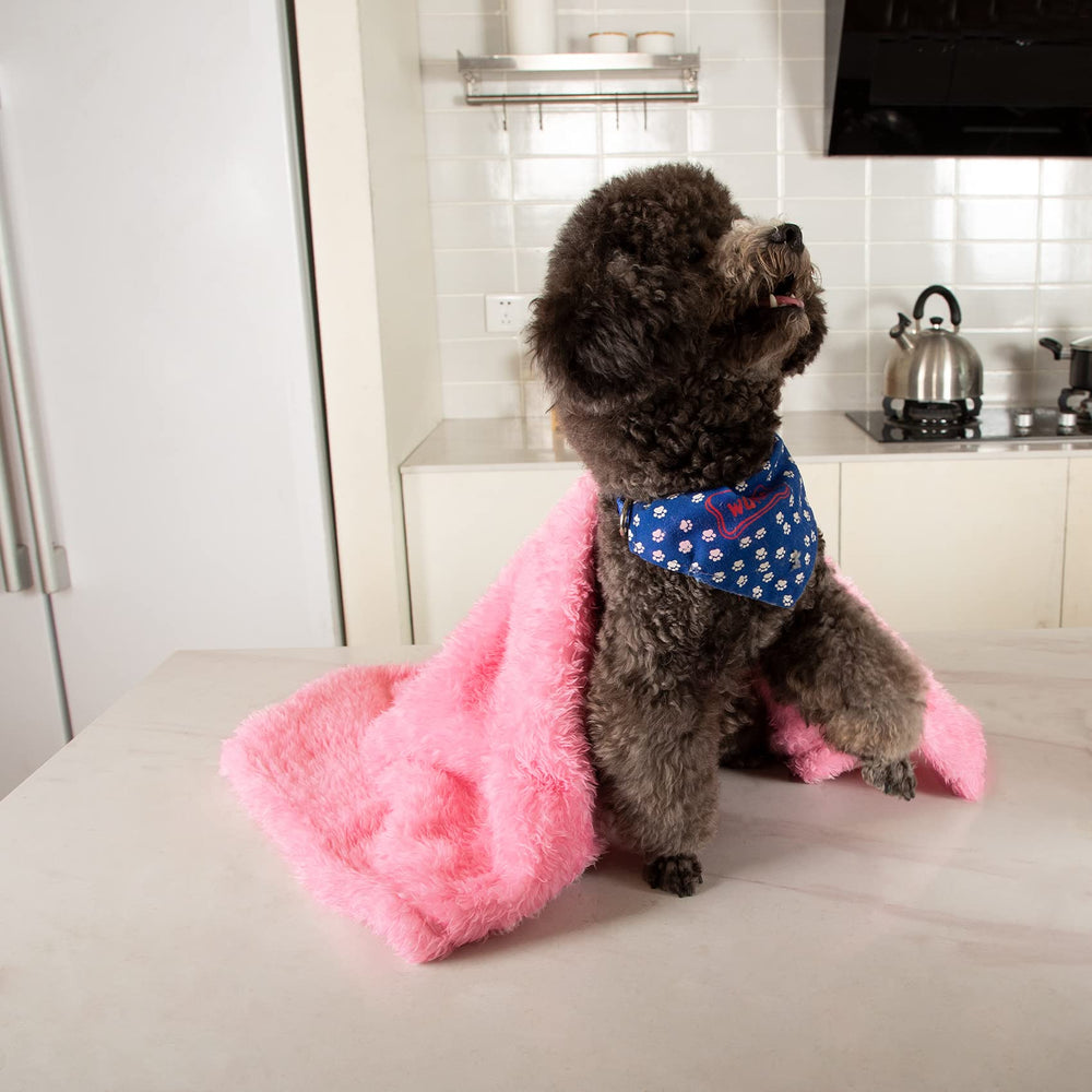 MACEVIA fluffy fleece dog blanket closeup shows 280 GSM plush texture.