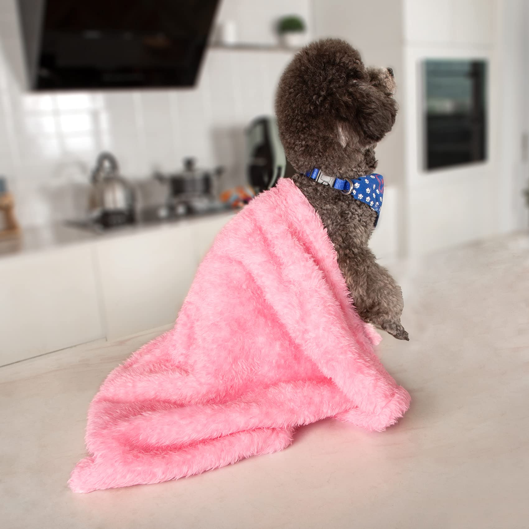 MACEVIA fluffy fleece dog blanket travel-ready compact for car trips.