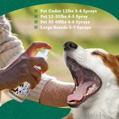 Mad About Organics after-meal spray routine simplifies pet dental care.
