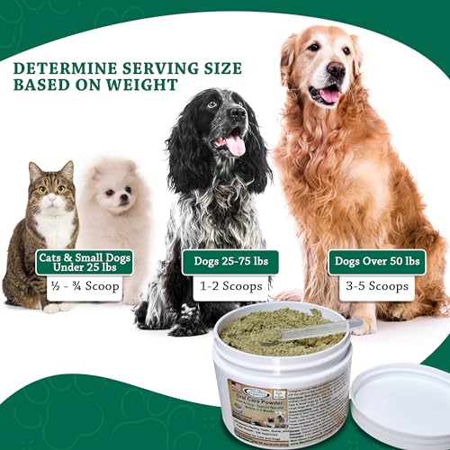 Dogs and cats benefiting from no-brush dental care with Mad About Organics