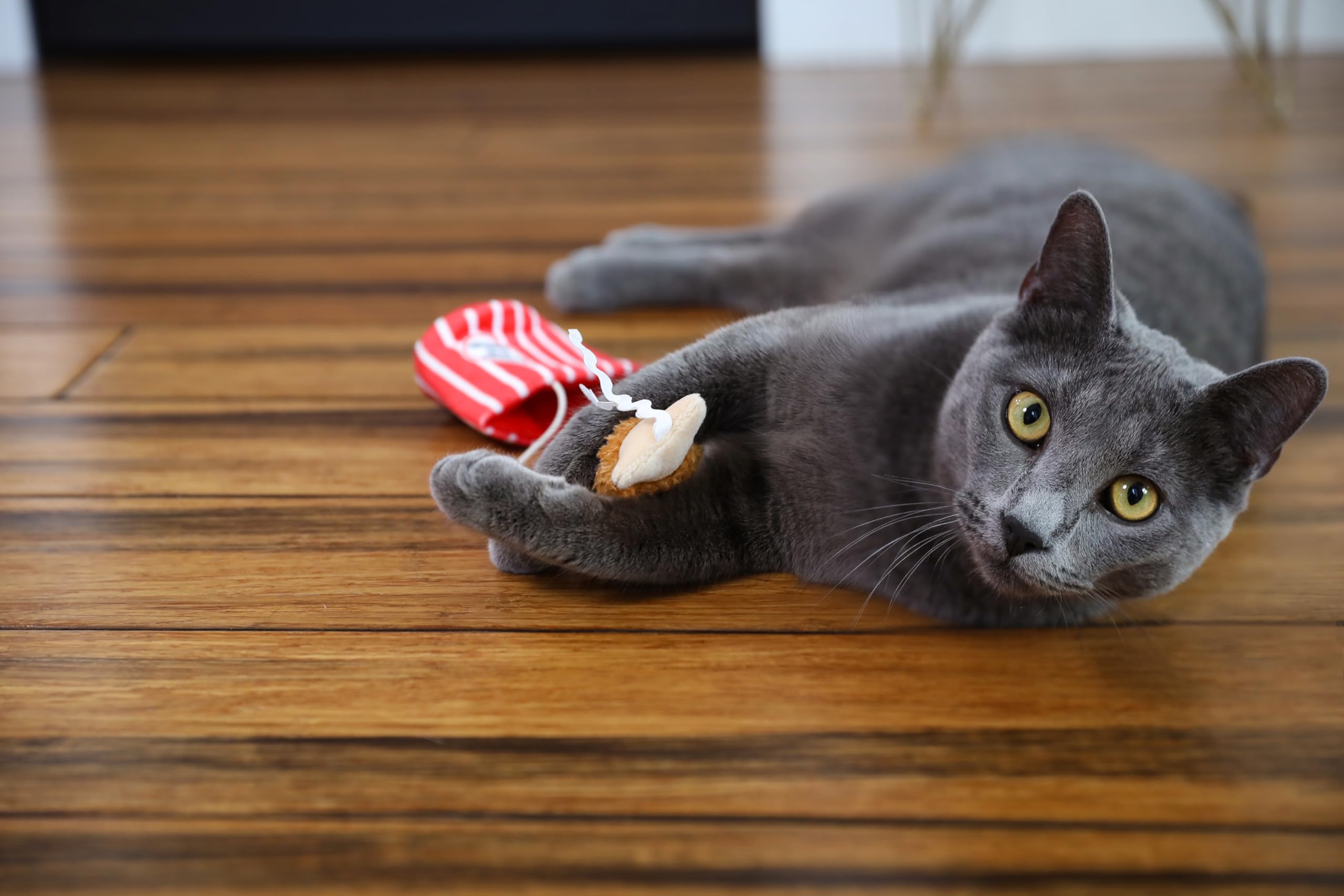 Mad Cat Catucky Fried Chicken Hide-A-Toy natural feathers encourage stalking.