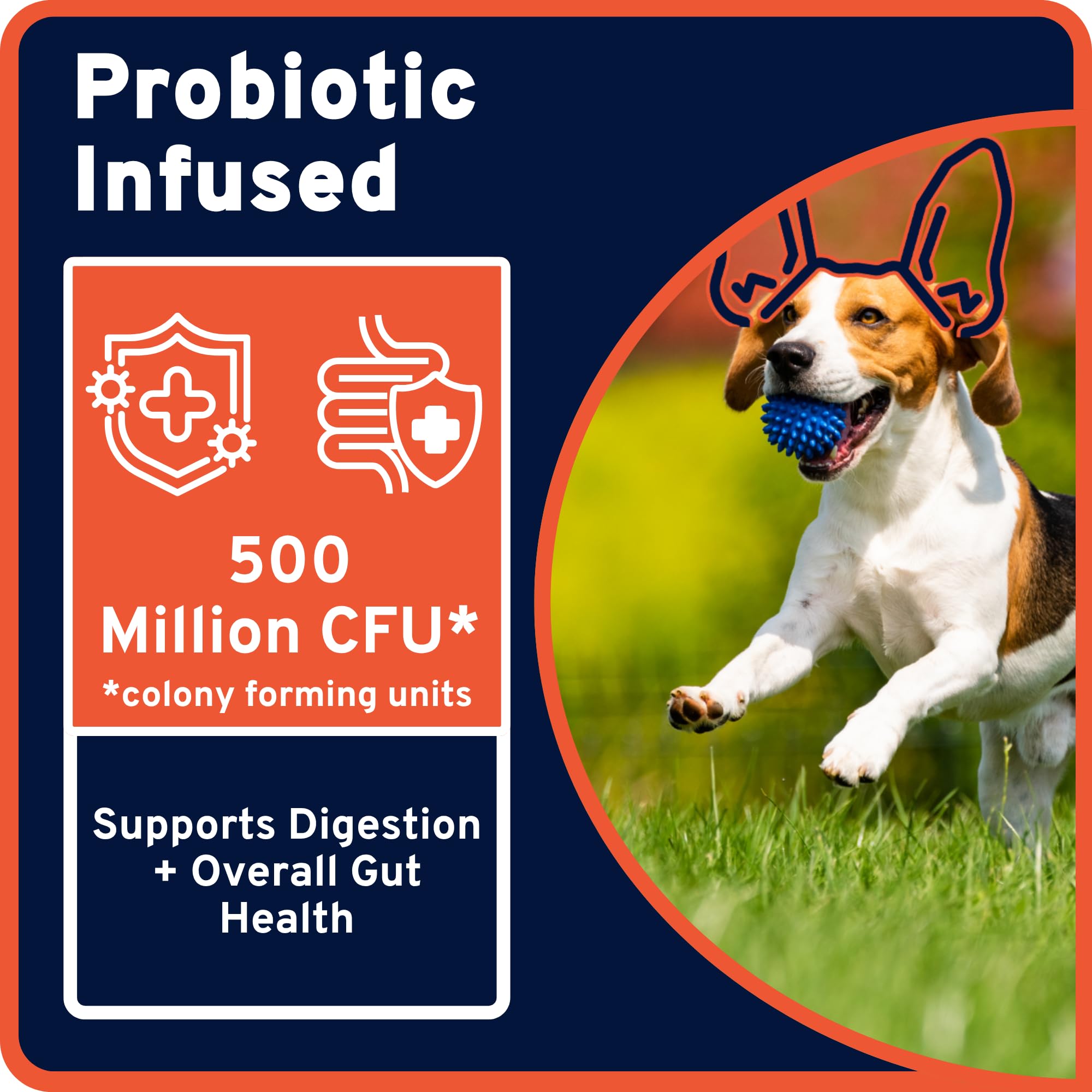 Maddie's paste-wrap around pill for dogs and cats enables easy dosing.