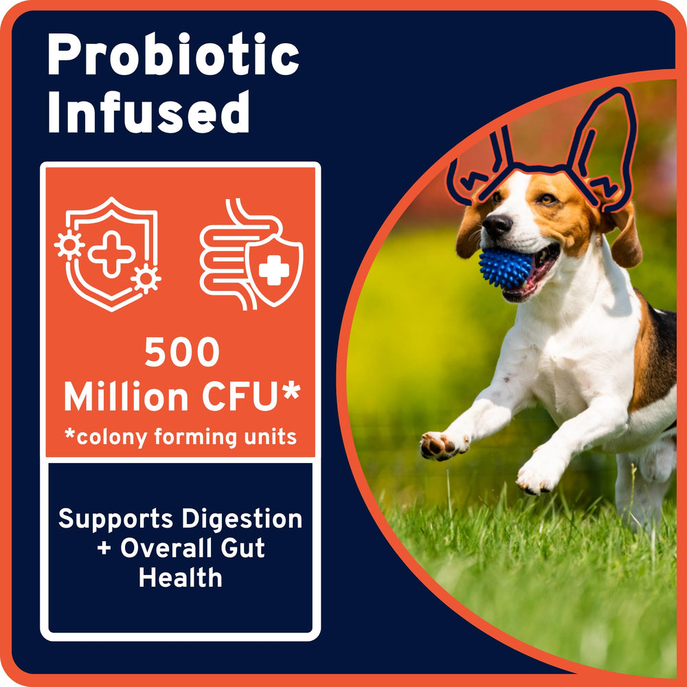 Maddie's paste-wrap around pill for dogs and cats enables easy dosing.
