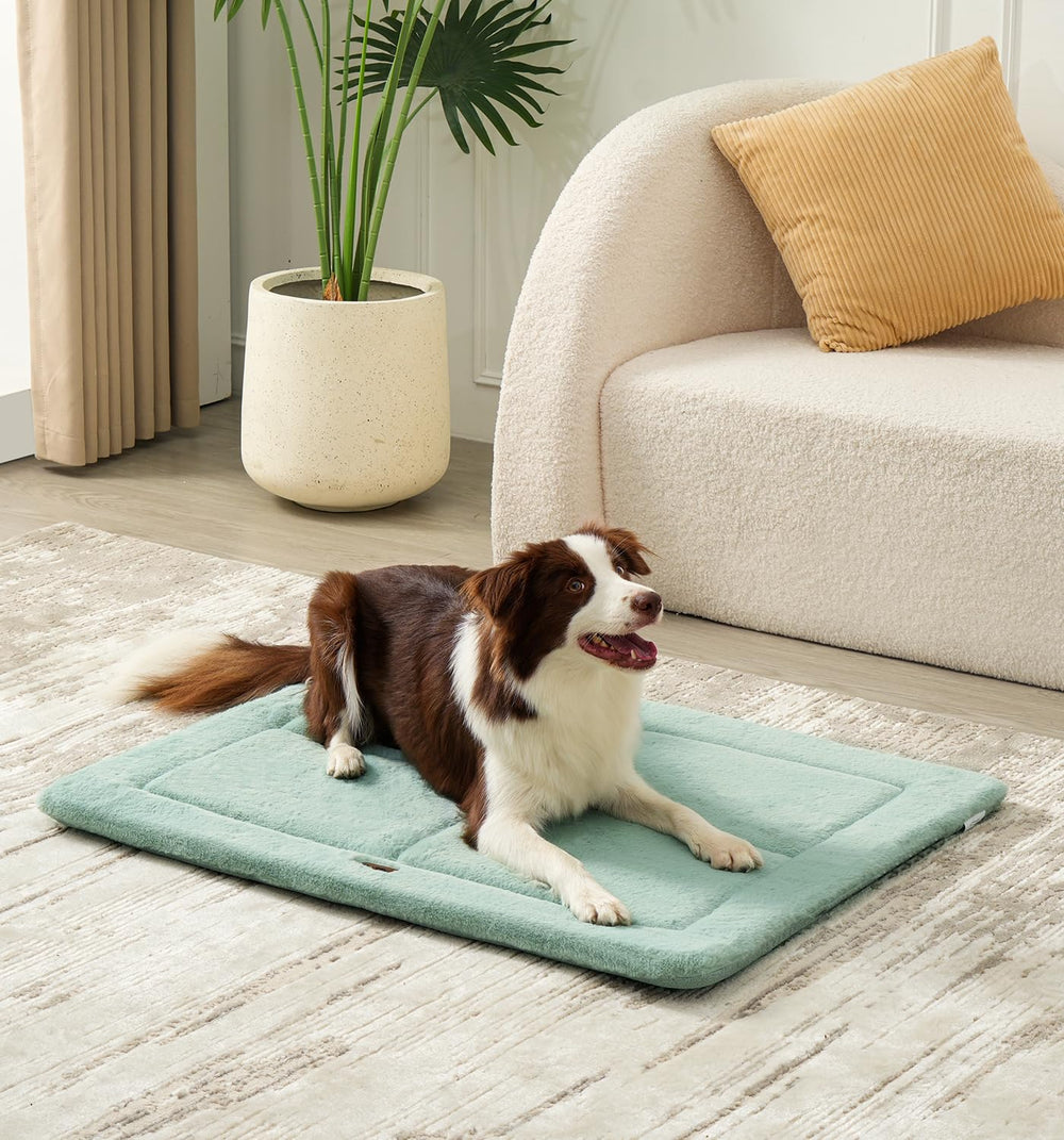 MADE 4 PETS dog crate pad soft fluffy bed green for lounging