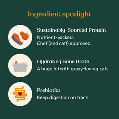 Made by Nacho bone-broth closeup emphasizes hydrating, protein-dense base