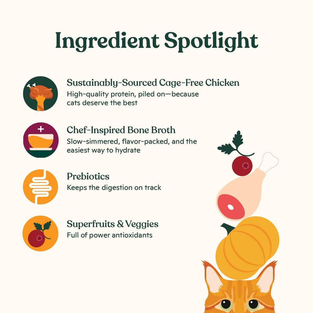 Bone broth-infused kibble from Made by Nacho adds savory flavor and hydration.