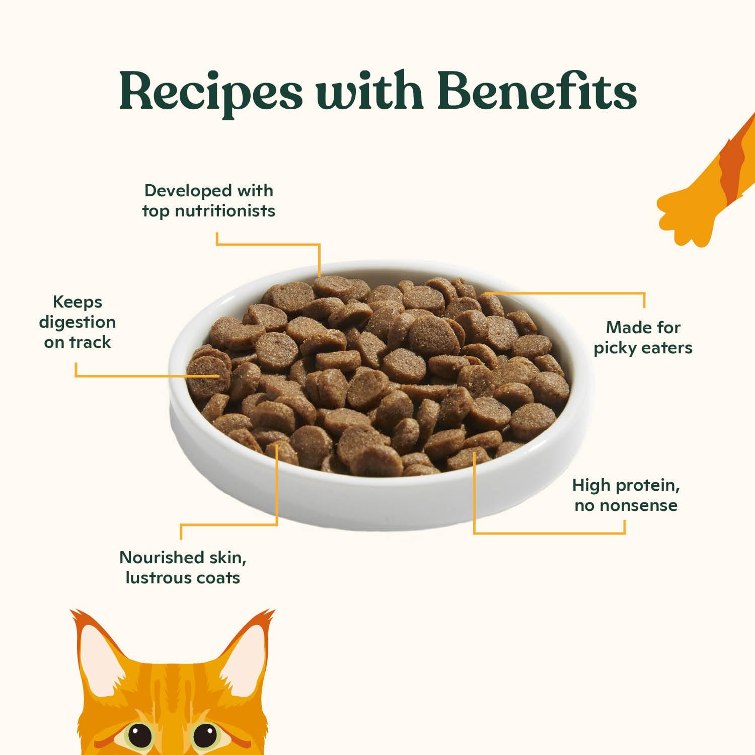 Made by Nacho cage-free chicken-liver kibble close-up emphasizes real ingredients.