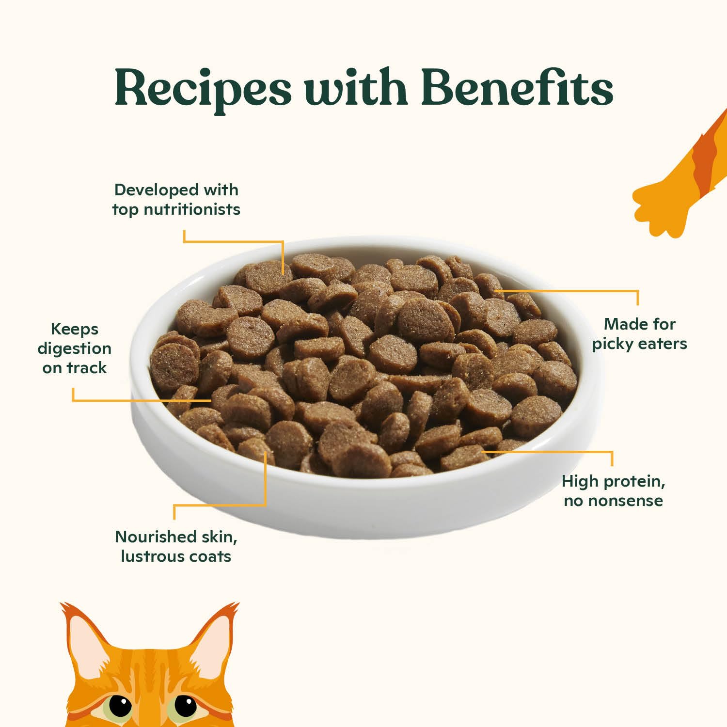 Made by Nacho kibble bone-broth infusion highlights savory flavor and hydration potential.