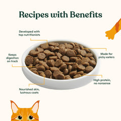 Made by Nacho kibble bone-broth infusion highlights savory flavor and hydration potential.
