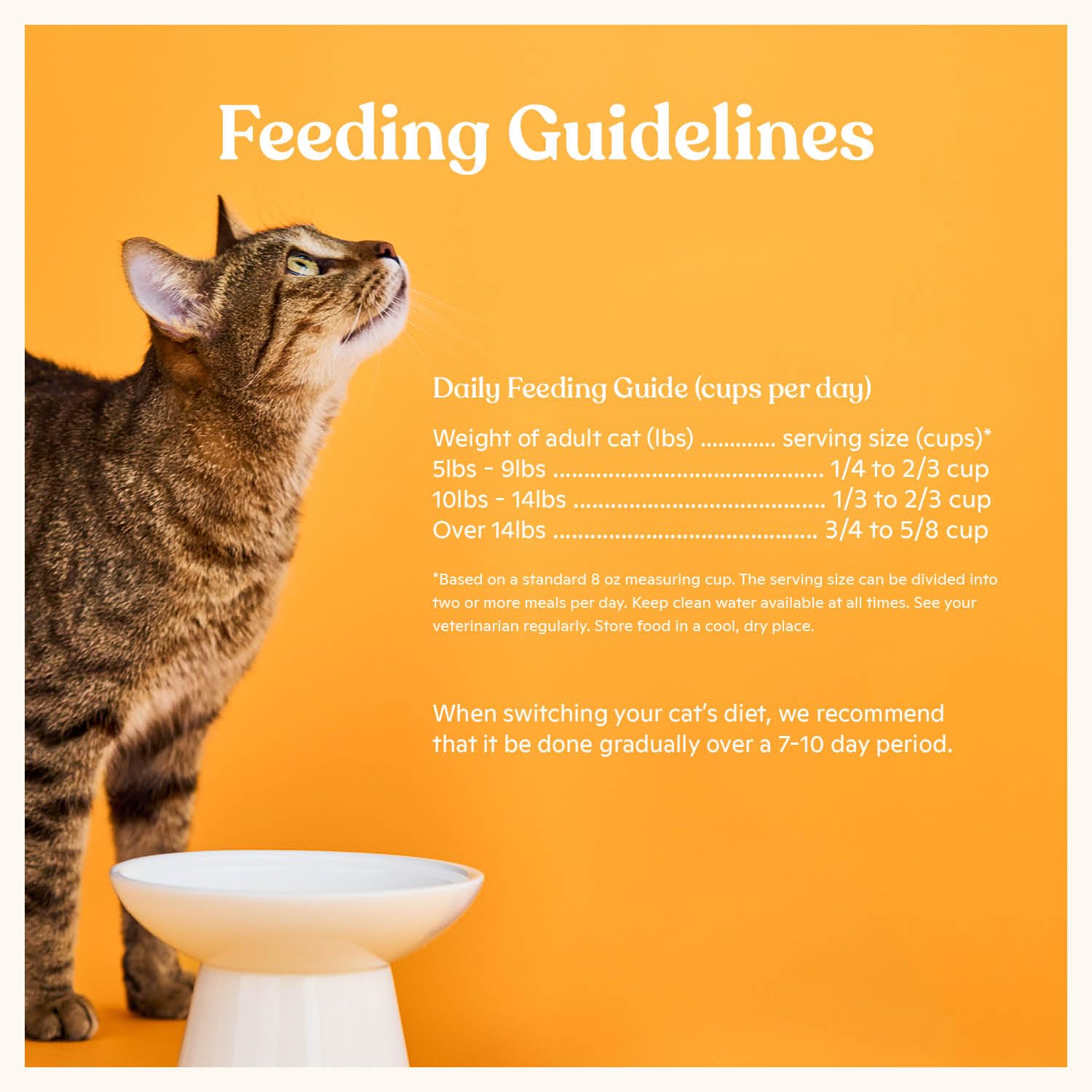 Made by Nacho kibble serving-bowl scene suggests easy feeding and palatability.