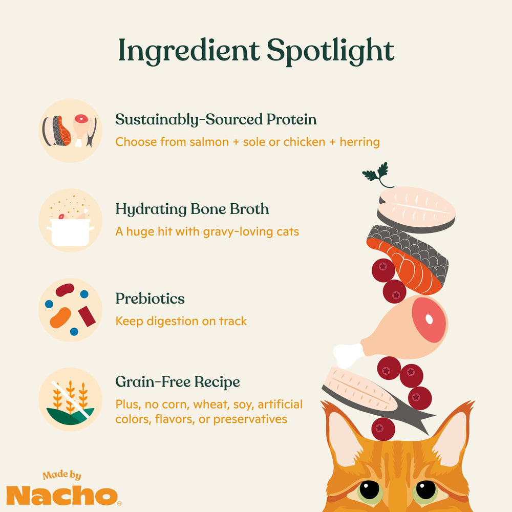 Made by Nacho serving pâté into a bowl invites easy mealtimes.