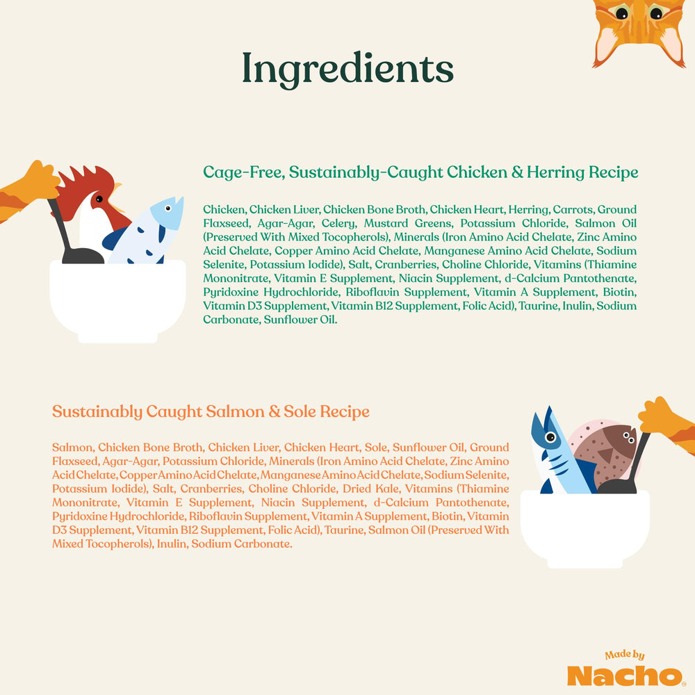 Made by Nacho pâté texture close-up shows smooth, cat-ready consistency.