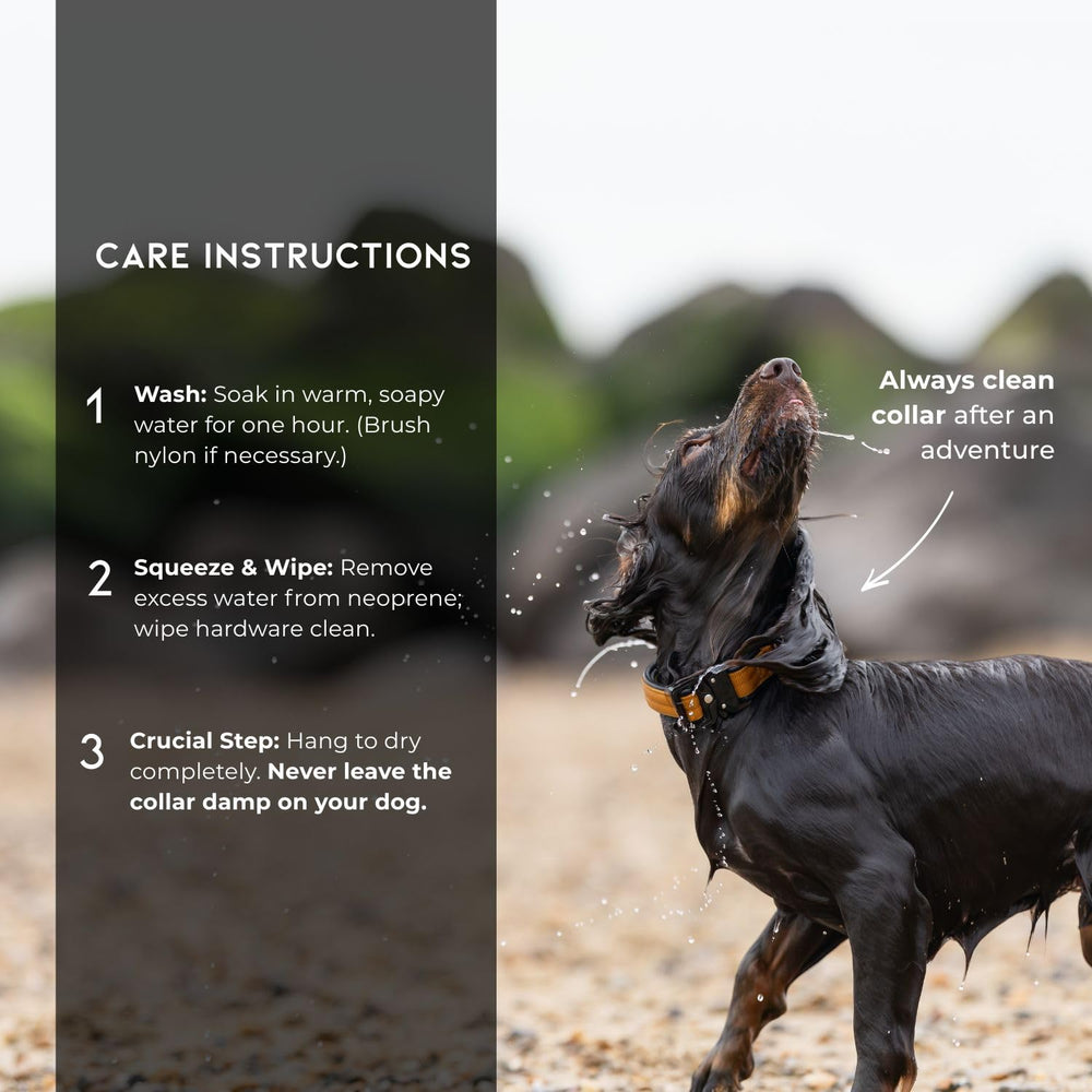 MADE TO ROAM all-day comfort collar designed for active dogs.