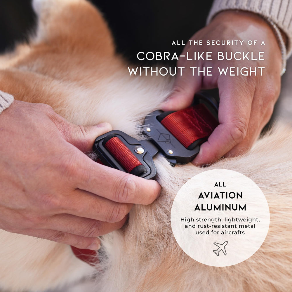 MADE TO ROAM aviation hardware D-ring and tag ring for secure leash and identification.